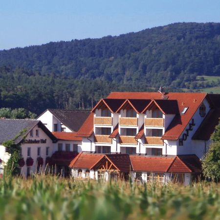 Wagners Fraenkischer Hof Altenkunstadt Buitenkant foto